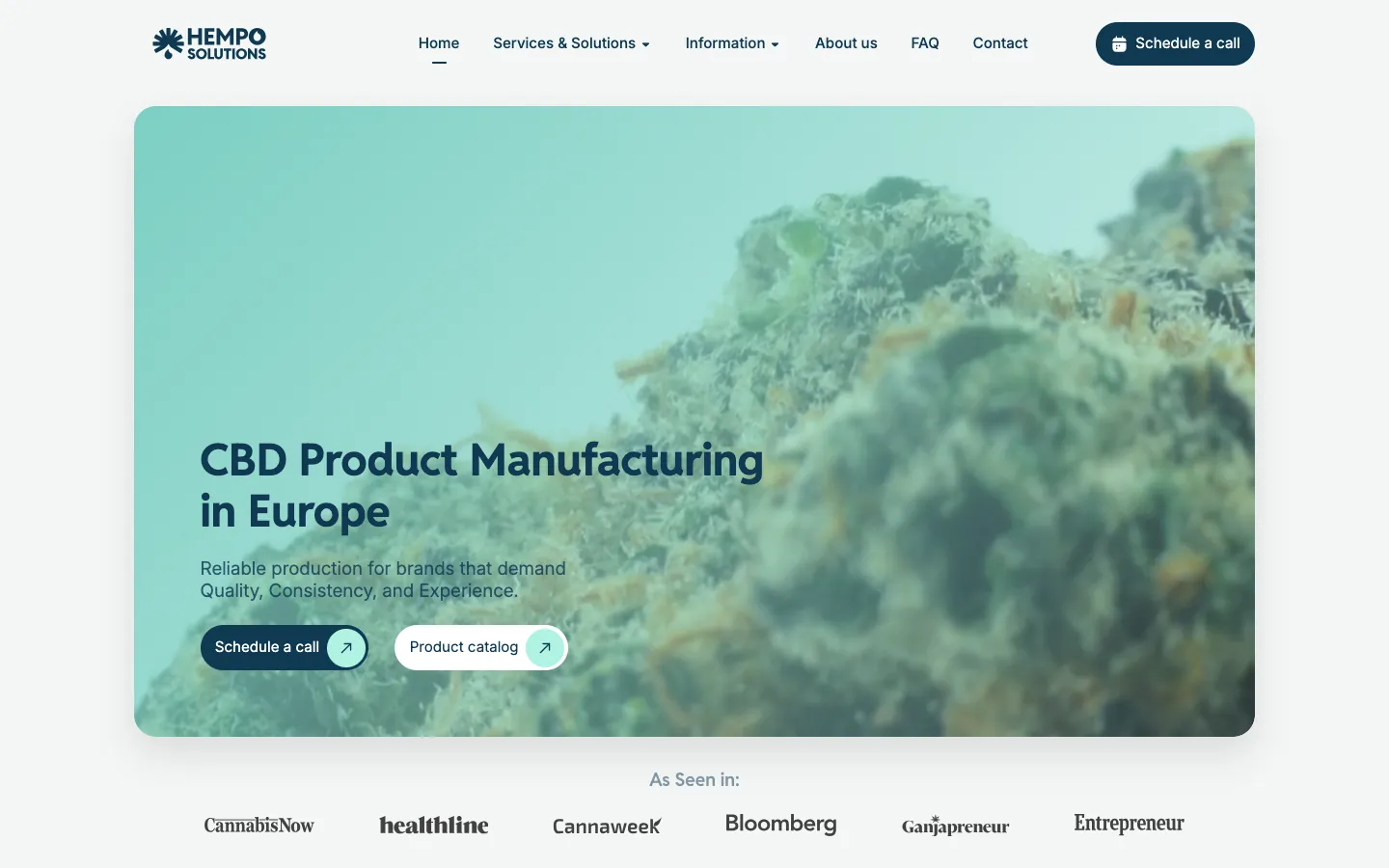 Hempo Solutions homepage