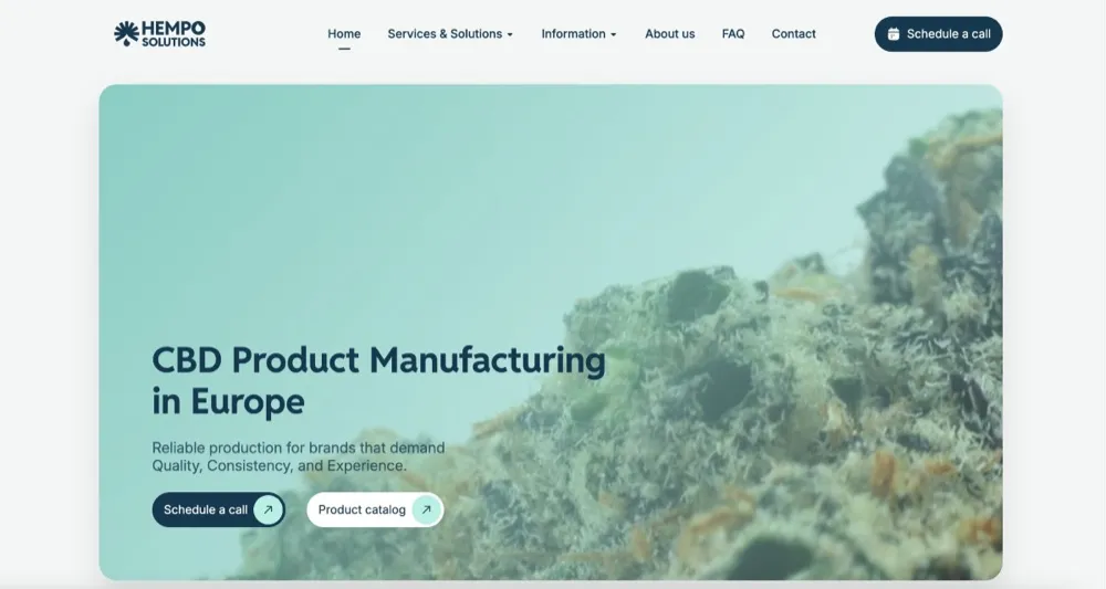 Hempo Solutions website